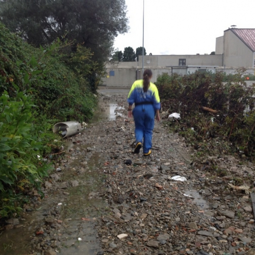 Interventi di emergenza per alluvione Trieste e Muggia, 15 ottobre 2014 foto n. 11 / 111627