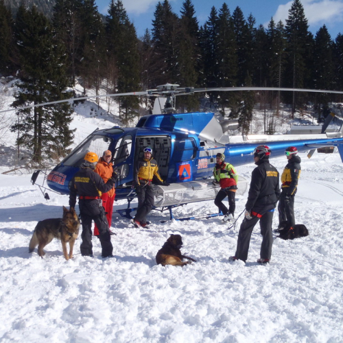 Esercitazione a Sella Nevea del 20/02 n. 38 / 91311