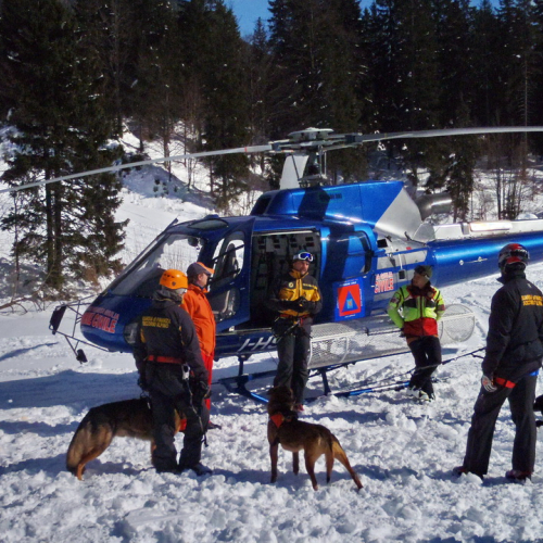 Esercitazione a Sella Nevea del 20/02 n. 39 / 91312