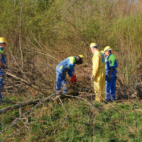 Esercitazione Alvei puliti" sul Torre n. 9""sercitazione "Alvei puliti" ""ercitazione "A""r" / 63600