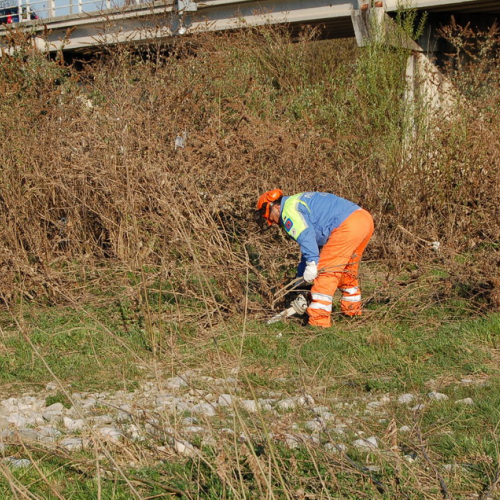 Esercitazione Alvei puliti" sul Torre n. 10""sercitazione "Alvei puliti" s""ercitazione "Al""rc" / 63601