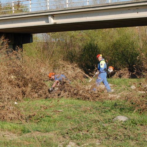 Esercitazione Alvei puliti" sul Torre n. 11""sercitazione "Alvei puliti" s""ercitazione "Al""rc" / 63602