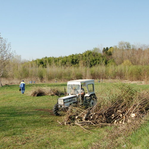 Esercitazione Alvei puliti" sul Torre n. 18""sercitazione "Alvei puliti" s""ercitazione "Al""rc" / 63609