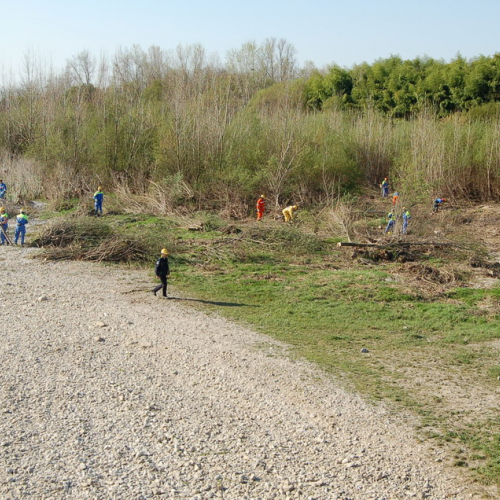 Esercitazione Alvei puliti" sul Torre n. 19""sercitazione "Alvei puliti" s""ercitazione "Al""rc" / 63610