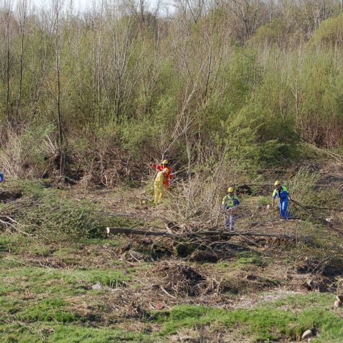 Esercitazione Alvei puliti" sul Torre n. 22""sercitazione "Alvei puliti" s""ercitazione "Al""rc" / 63613