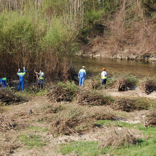 Esercitazione Alvei puliti" sul Torre n. 23""sercitazione "Alvei puliti" s""ercitazione "Al""rc" / 63614