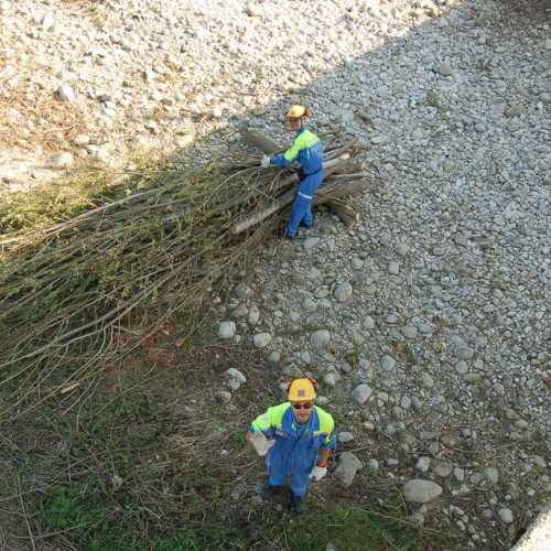 Esercitazione Alvei puliti" sul Torre n. 26""sercitazione "Alvei puliti" s""ercitazione "Al""rc" / 63617