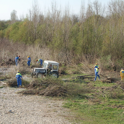 Esercitazione Alvei puliti" sul Torre n. 27""sercitazione "Alvei puliti" s""ercitazione "Al""rc" / 63618