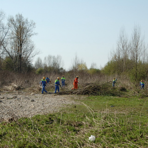 Esercitazione Alvei puliti" sul Torre n. 32""sercitazione "Alvei puliti" s""ercitazione "Al""rc" / 63623