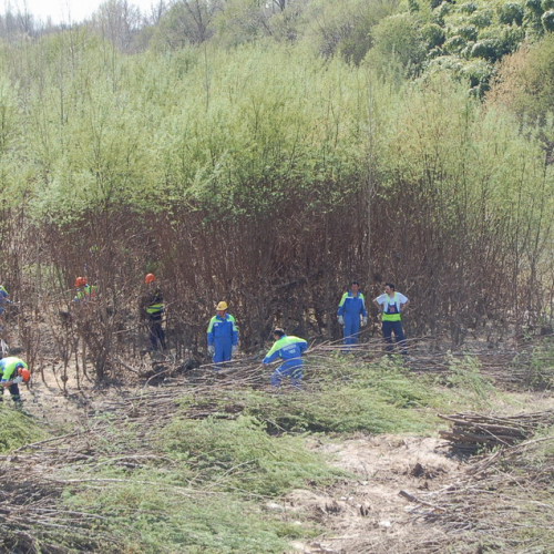 Esercitazione Alvei puliti" sul Torre n. 40""sercitazione "Alvei puliti" s""ercitazione "Al""rc" / 63631