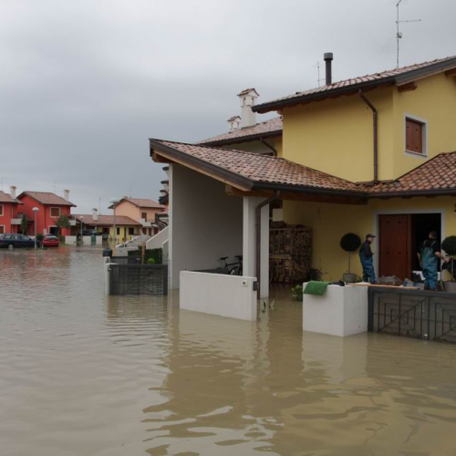 Foto Massimo Turco 1 / 32229