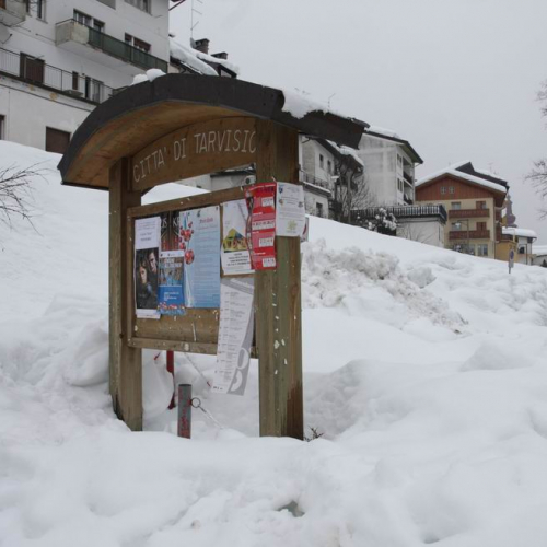 Sgombero neve Tarvisio 1 / 33602
