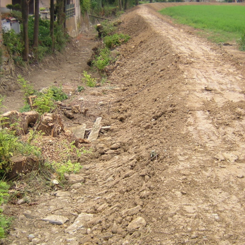 Arginatura corso opera 2 / 18905