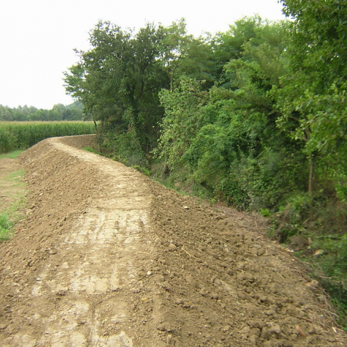 Arginatura corso opera 3 / 18906