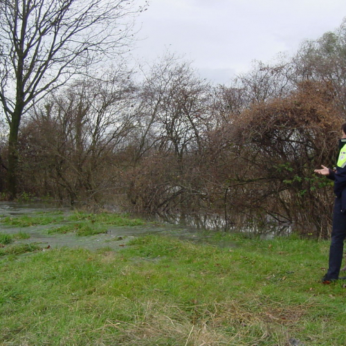 Cervignao Canale Banduzzi n. 1 / 32769