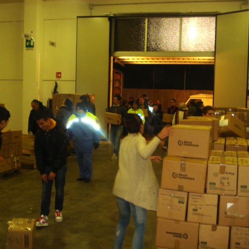Colletta Alimentare 2013 n. 8 / 102035