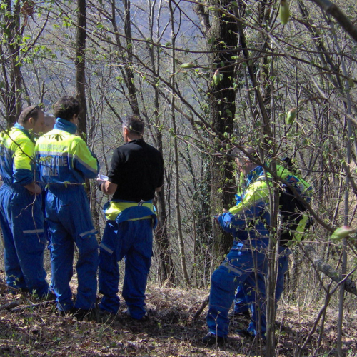 Esercitazione congiunta Bordano - Varmo n. 28 / 63475