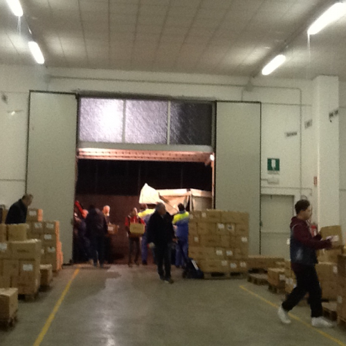 banco alimentare / 115489