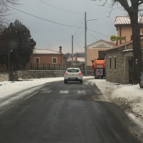 Basovizza 3 / 115622