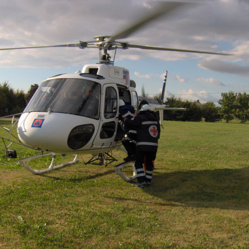 Bassa 2008 n. 8 / 30290