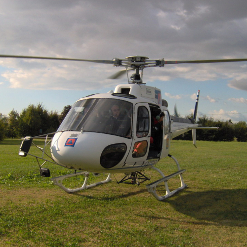 Bassa 2008 n. 9 / 30291