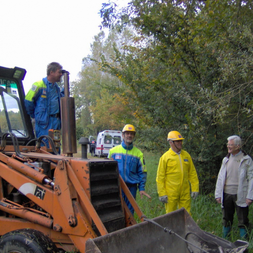 Bassa 2008 n. 11 / 30293