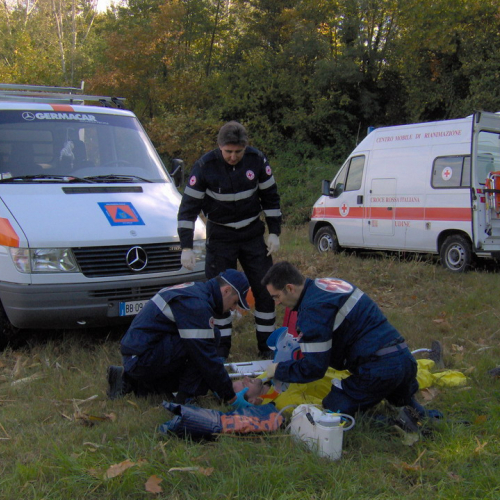 Bassa 2008 n. 18 / 30300