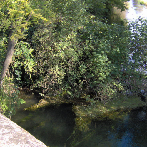 Bassa 2008 n. 23 / 30305