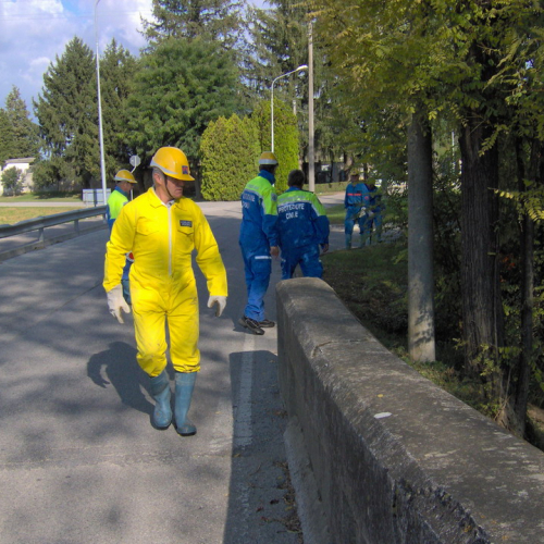 Bassa 2008 n. 24 / 30306