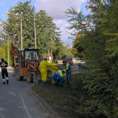Bassa 2008 n. 26 / 30308