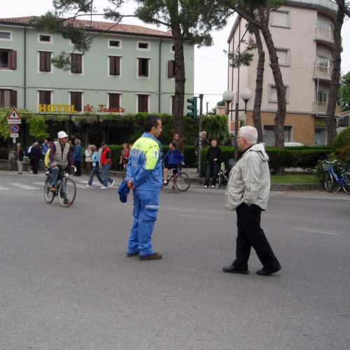 Bavisela 2010 n. 5 / 50941