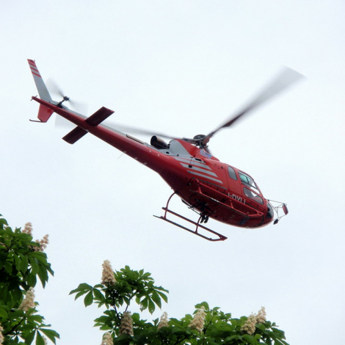 Bavisela 2010 n. 12 / 50948