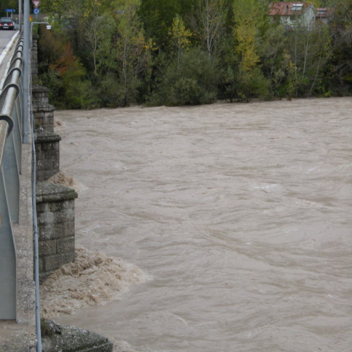 Tagliamento a Braulins 30-10-08 n.4 / 31535