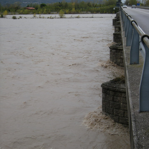 Tagliamento a Braulins 30-10-08 n.5 / 31536