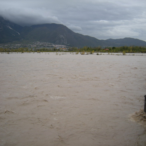 Tagliamento a Braulins 30-10-08 n.6 / 31537