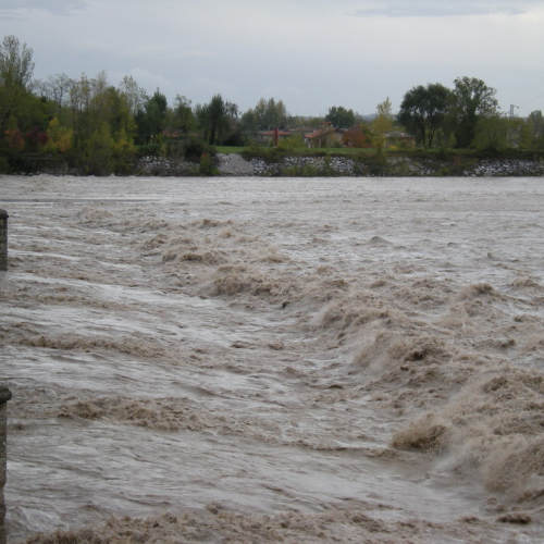 Tagliamento a Braulins 30-10-08 n.7 / 31538