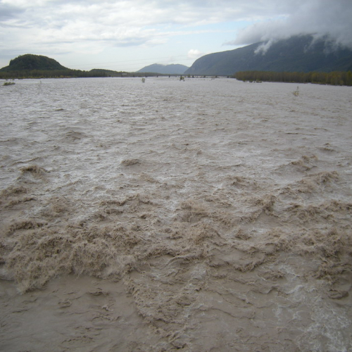 Tagliamento a Braulins 30-10-08 n.8 / 31539