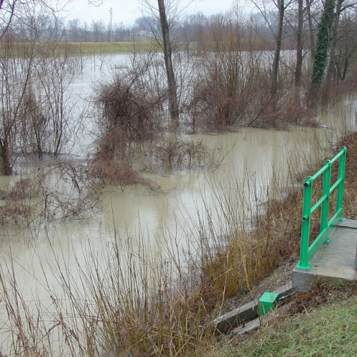 Brugnera n. 2 / 34323