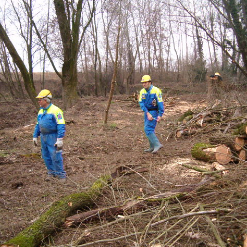 foto addestramento 01/03/08 n. 6 / 21039