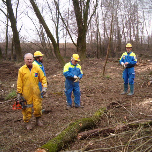 foto addestramento 01/03/08 n. 7 / 21040