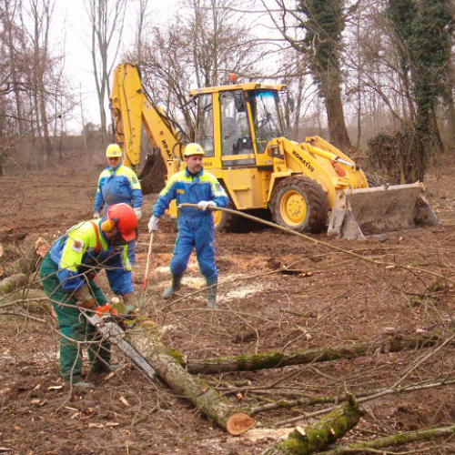 foto addestramento 01/03/08 n. 11 / 21044
