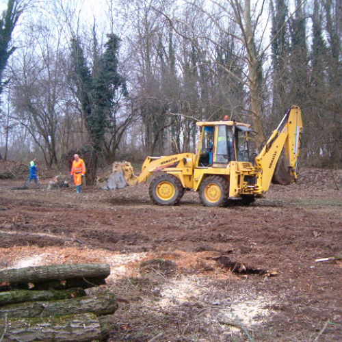 foto addestramento 01/03/08 n. 14 / 21047