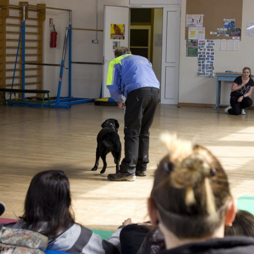 Attivit‡ Formazione Protezione civile/Civiform n. 25 / 110465