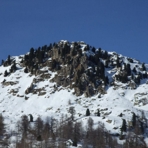 Campionati di Sci 2013 n. 6 / 91221