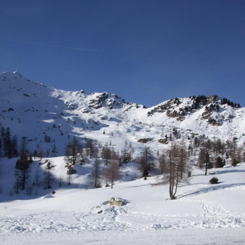 Campionati di Sci 2013 n. 12 / 91227