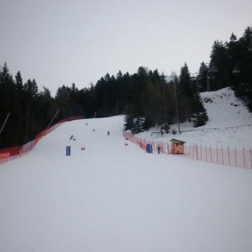 Campionati di Sci 2013 n. 26 / 91241