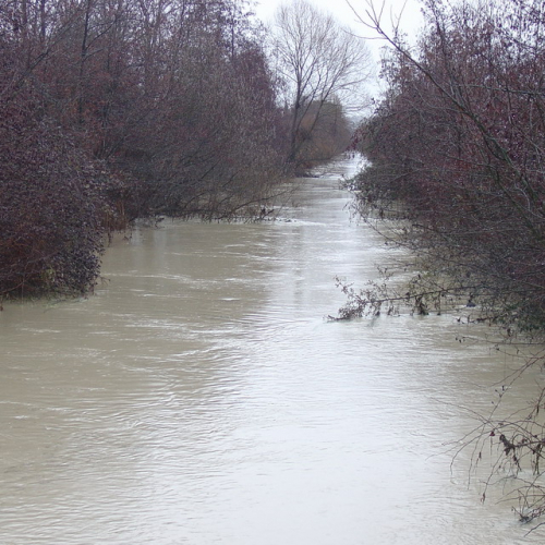 Pordenone: Canale Amman (1) / 34307