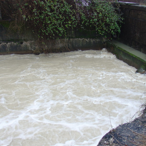 Pordenone: Canale Amman (3) / 34309