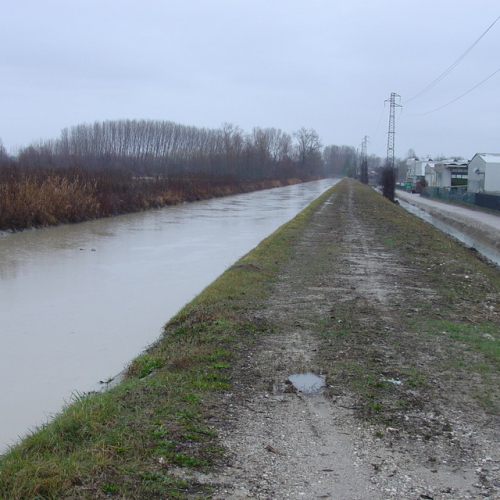 Pordenone: Canale Amman (7) / 34313