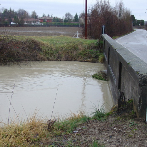 Pordenone: Canale Amman (8) / 34314